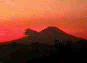 夕日の富士