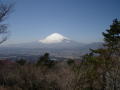 足柄峠の富士２
