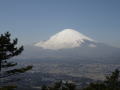 足柄峠の富士４