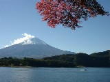 秋の富士14